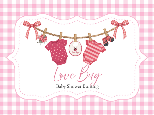 Love Bug Valentine Baby Shower Bunting – Clothesline Garland with Mini Wooden Pegs