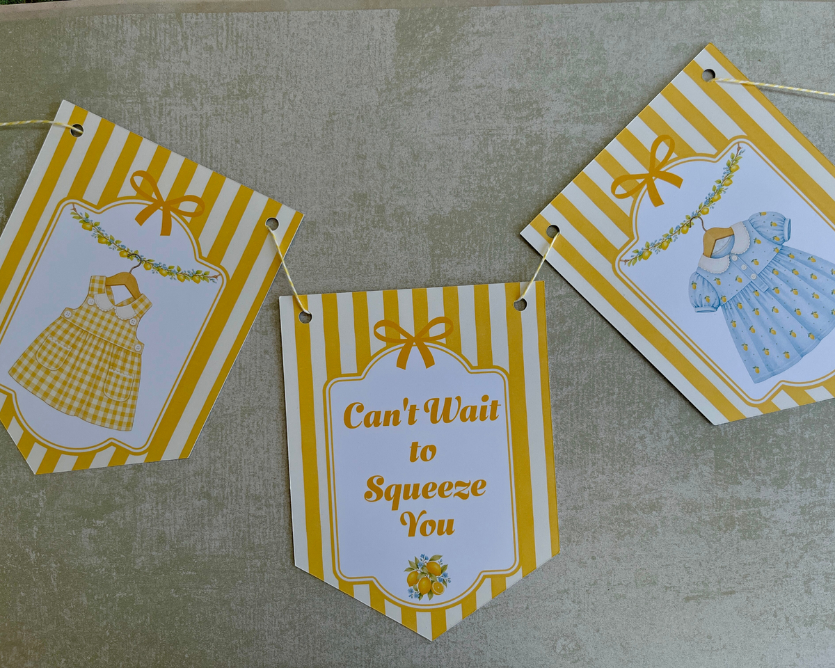 Lemon Baby Shower Bunting