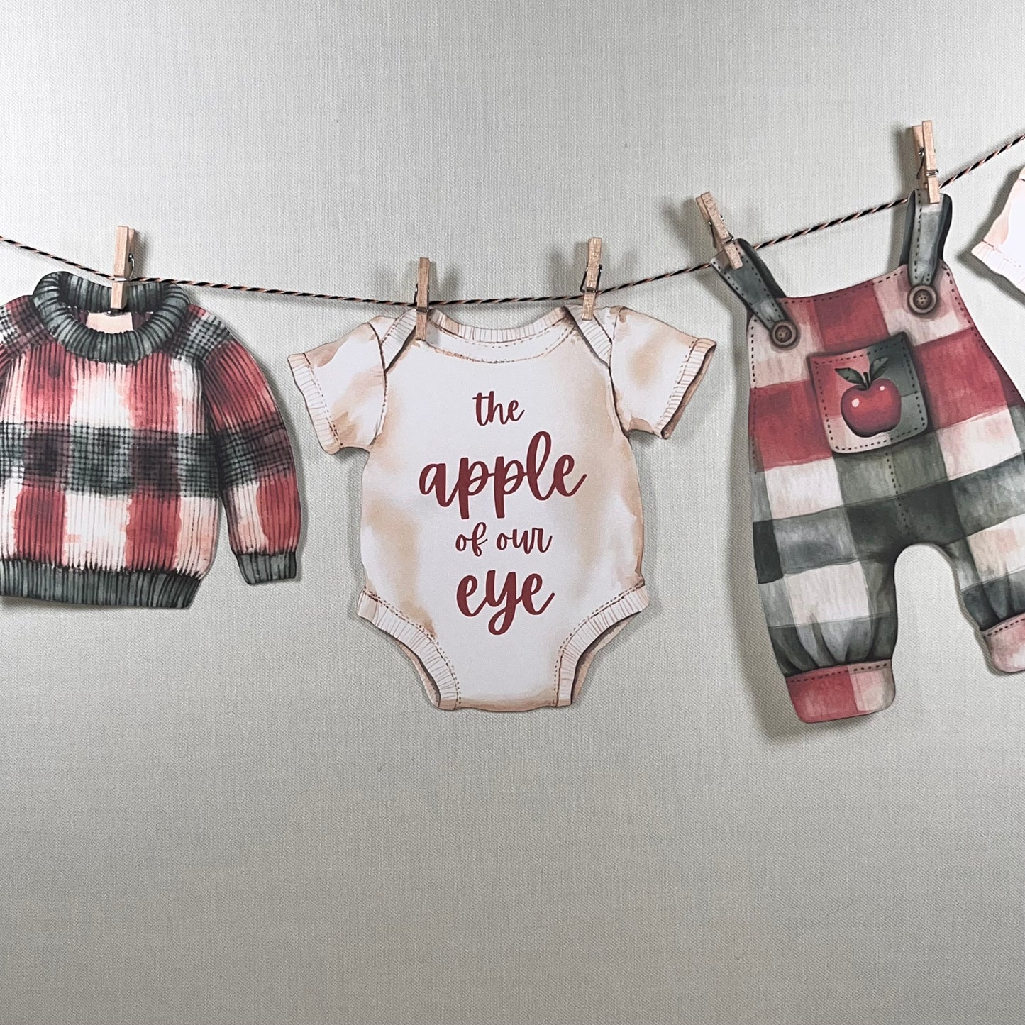 Apple of Our Eye Baby Shower Bunting – Baby Clothes & Accessories Garland Decoration