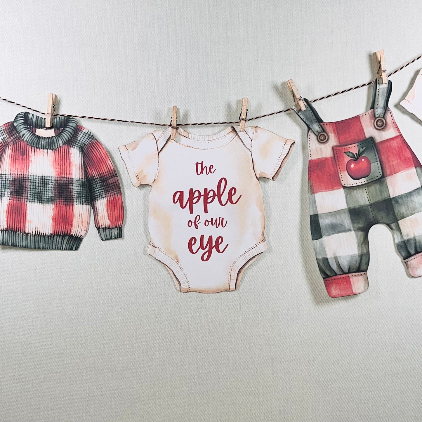 Apple of Our Eye Baby Shower Bunting – Baby Clothes & Accessories Garland Decoration