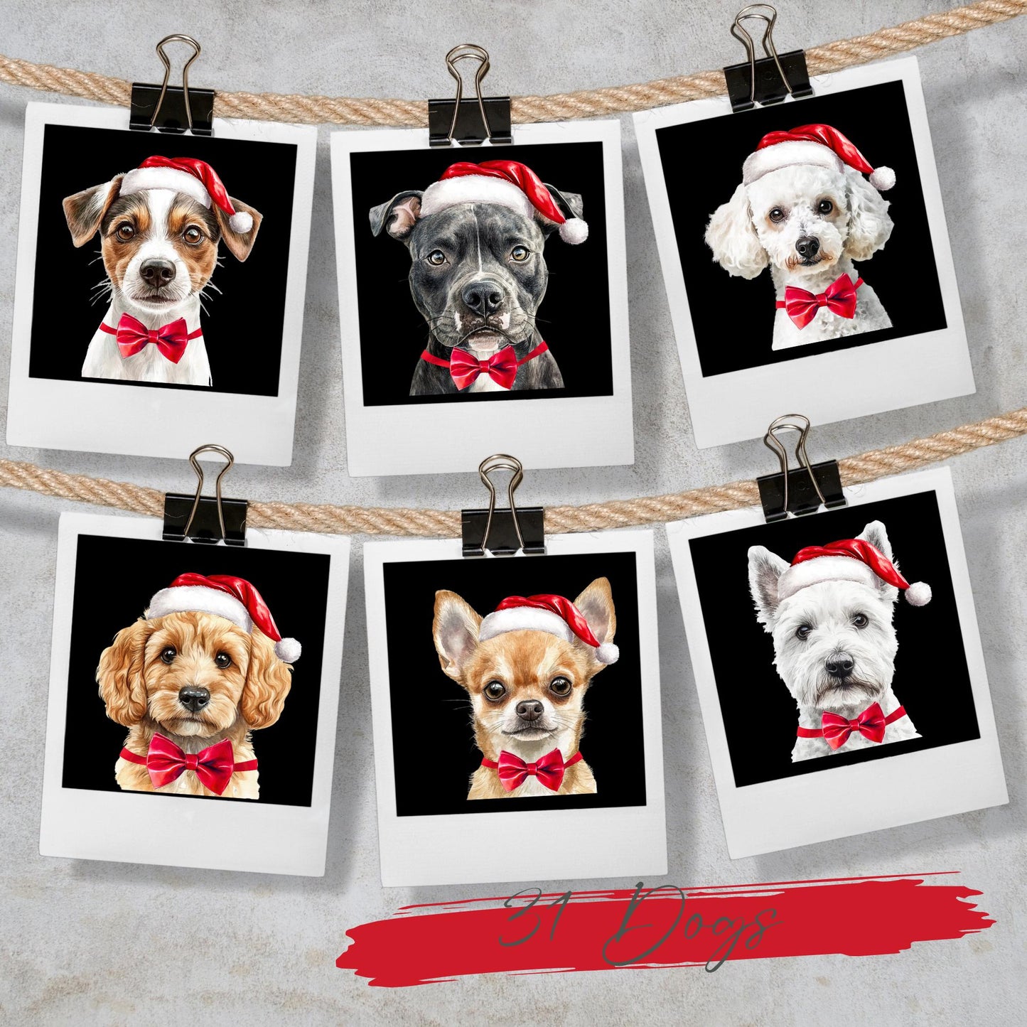 Dog Christmas Card – 51 Breeds, Blank Inside, 6" Square Greeting